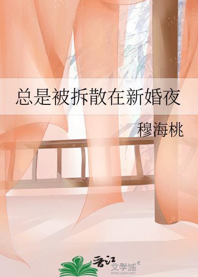 总是被拆散在新婚夜(女穿男)作者穆海桃