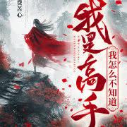 我是高手高高手电视剧