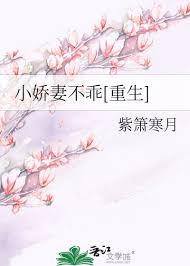 小娇妻怎么理解