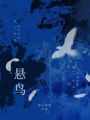 悬鸟by秋宥呦讲什么