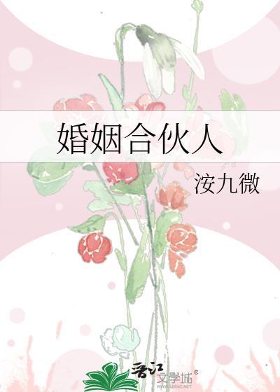 婚姻合伙人by洝九徽