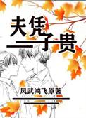 夫凭子贵笔趣阁