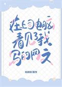 在上司电脑上看见了我写的网文英语