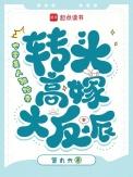 七零美人不好惹免费阅读全文