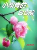 小知青的四合院3Q读书