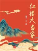 红楼大当家百度