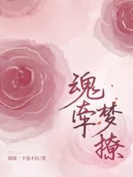 魂牵梦()
