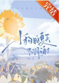 小狗夏天会更好