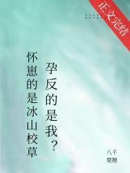 怀崽的是清冷美人宿敌孕反免费