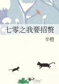 七零之我要招赘类别穿越作者 辛橙