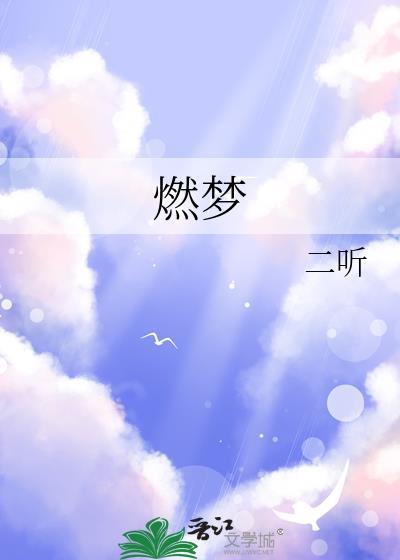 燃梦台球杆