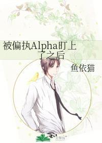 被偏执盯上怎么办杭白