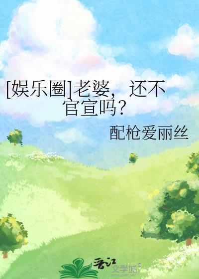 娱乐圈老婆还不官宣吗txt