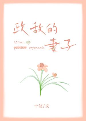 政敌的妻子大结局