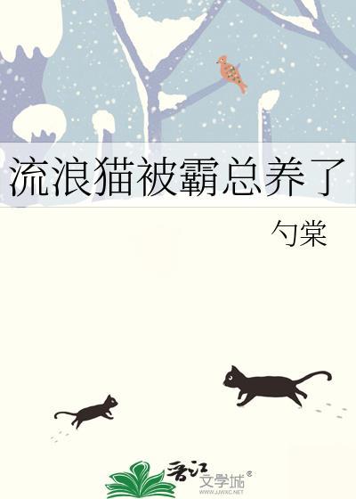 流浪猫被霸总养了txt