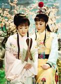 脂砚斋版本红楼梦
