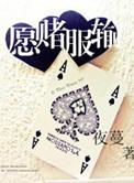 遇见你我愿赌服输
