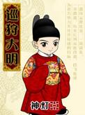 巡狩大明这本书好看吗