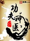 功夫神医(书坊)