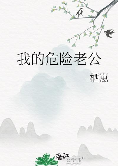 我的危险老公电视剧免费播放