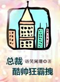 总裁酷帅狂霸拽胡云飞林平平