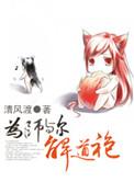 为师与尔解道袍晋江