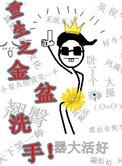 重生之金盆洗手有声书