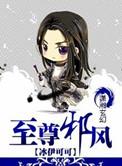 至尊邪风战凌风