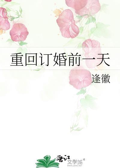 重回订婚前一天陆冉冉陆延