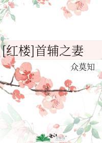 红楼首辅之妻