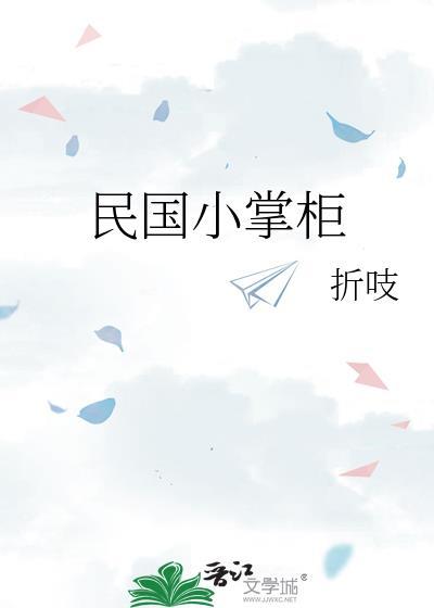 民国小掌柜讲的什么