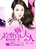 我的检察官夫人