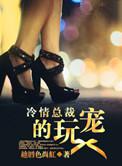 冷情总裁的酷宠