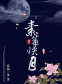 素华映月txt百度