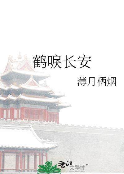 鹤唳长安无错版