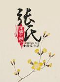 穿越空间之张氏百度