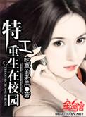 特工重生在校园txt