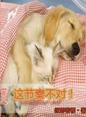 类似这节奏不对的