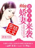 娇妻来袭免费全文阅读