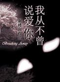 从不曾爱过我