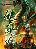 暴风锐去哪了