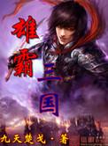 雄霸三国阵容
