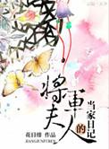 将军夫人当家日记TXT