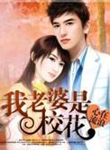 我的老婆是校花改编