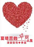 夏晴穿越