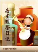 雇主观察日记讲什么