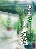 重生之小老板by百度