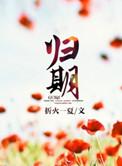 归期(离婚后的故事)番外
