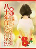 穿越八十年代鉴宝记讲的是什么