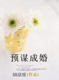 预谋出轨讲的是什么